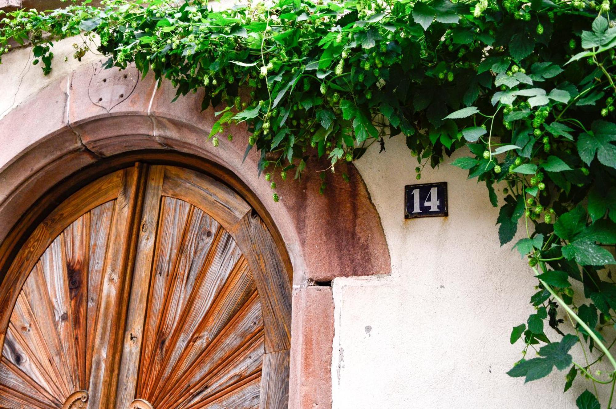 Apartmán Chaud'Vin Kaysersberg-Vignoble Exteriér fotografie